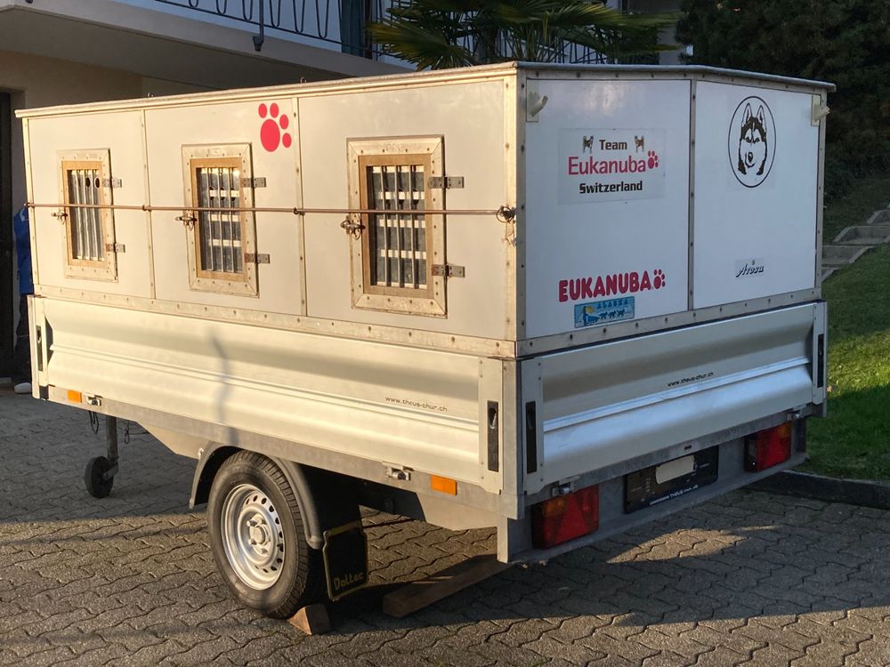Daltec Hundeanhänger (Gebraucht) in Oftringen für CHF 1700 – nur ...