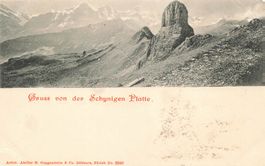 Gruss von der schynigen platte