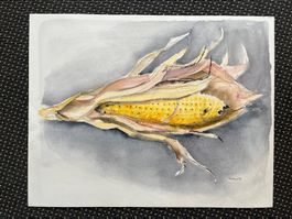 Aquarell / Maiskolben von Robert Burkhard 1994    (ID B5804)