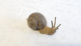 Ancien escargot en bronze de Vienne
