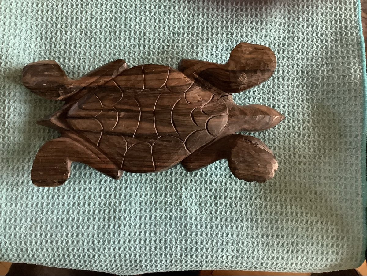 Tutte le decorazioni: Schildkröten Schale – Usato da Zürich venduto da Albatros57 1
