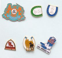 Pin Set 46, 6 Stück Pin «Pferdesport Set 1»