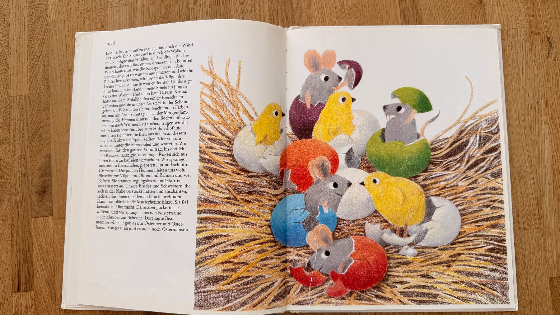 Libri: Buch - Das Jahr der Mäuse – Usato da Winterthur venduto da Secondhand-Family 7