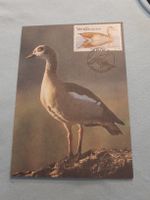 Carte postale illustrée avec timbre "Venda Waterfowl" 30c