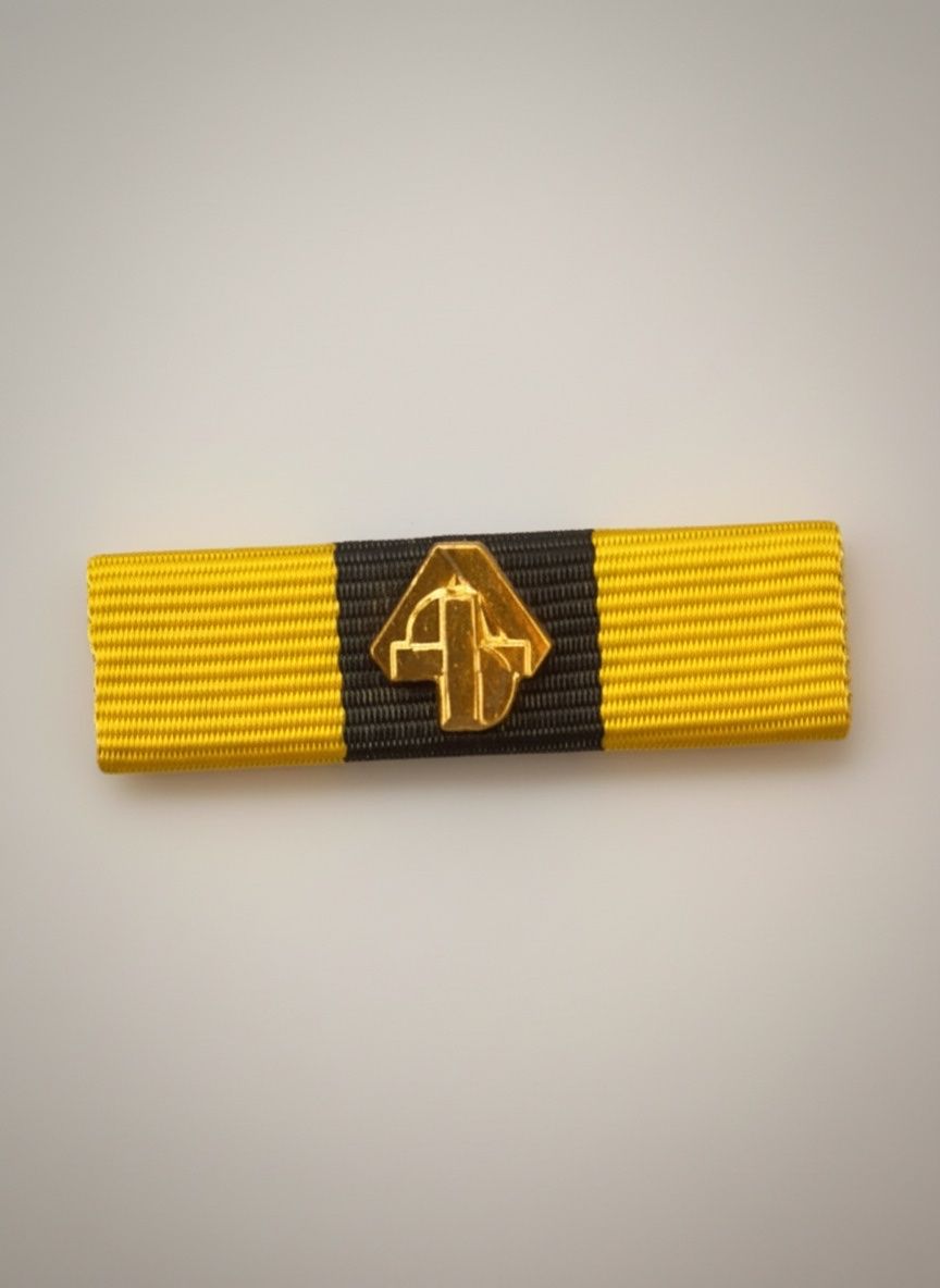 Schweizer Armee Placchette & Badge: *** ABC Ribbon - Swiss Armed Forces *** – Usato da Uetikon am See venduto da Seov