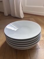 6 Grandes assiettes porcelaine de Limoges