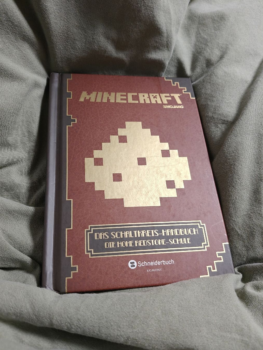 Libri: Minecraft Handbuch: Das Schaltkreis-Handbuch!!! – Usato da Münchenstein venduto da way_8mff