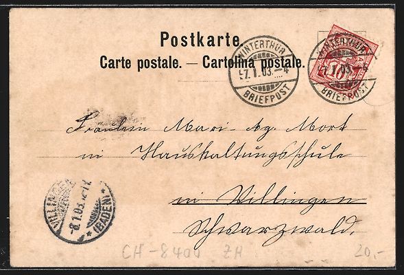 Cartoline postali: Winterthur, Primärschulhaus und Stadtha – Usato da Berlin venduto da bartko-reher 1