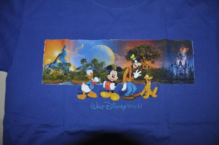 Cooles Walt Disney World T-Shirt, Top Zustand, Small