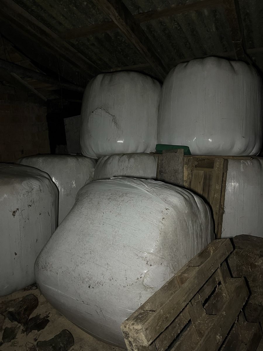 Mangimi: Heulage ballen, Ernte 2025, – Usato da Signau venduto da reb_xv5t 1