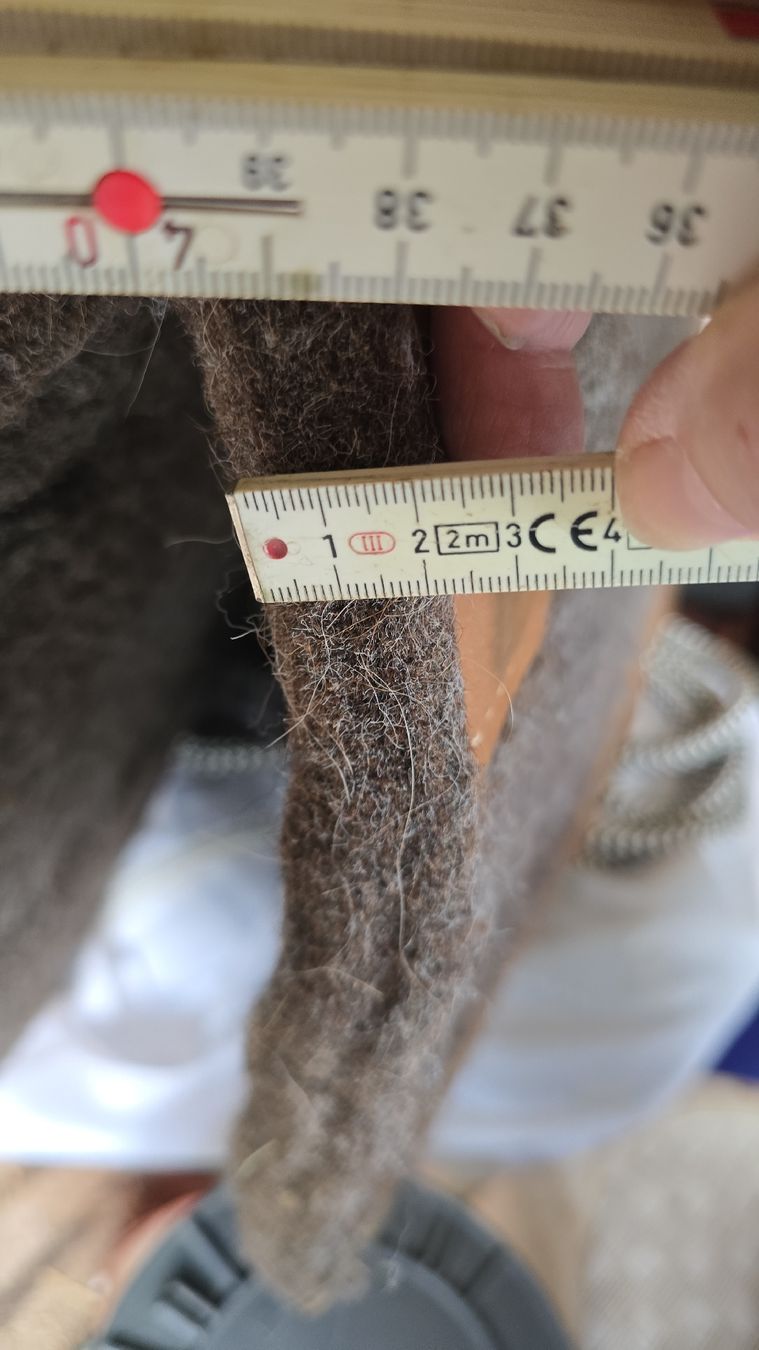 Selle & Accessori: Tapis feutre western USA – Usato da Attalens venduto da Lau4 5