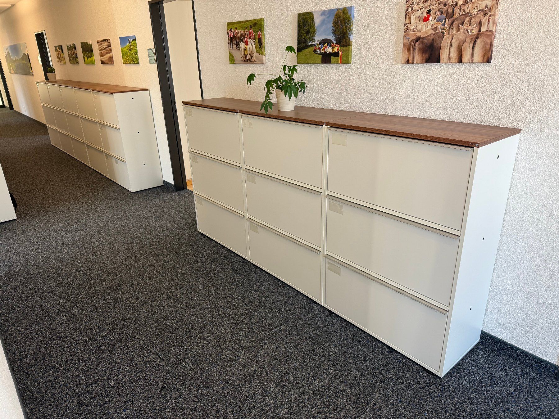Schränke: SITAG Hängeregistraturschrank – Gebraucht aus Uzwil von justitia8 1