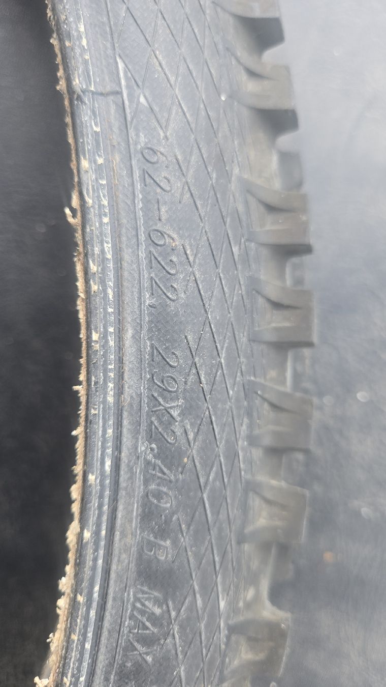 Schwalbe Pneumatici & Ruote complete: Schwalbe BIG BETTy & MAGIC MARY 29x2.4 – Usato da Flims Dorf venduto da skite 3
