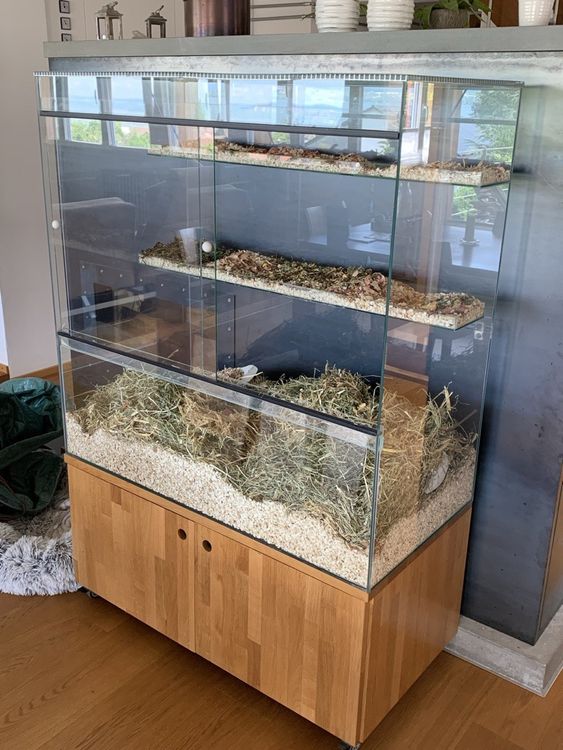 Glas Terrarium Kaufen auf Ricardo