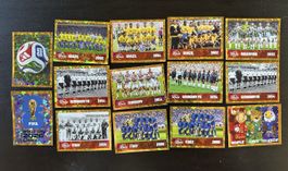Panini FIFA Museum Sammelkarten Set wie neu