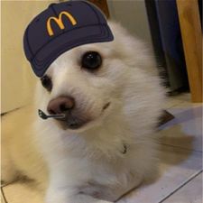Profile image of Lexdoit