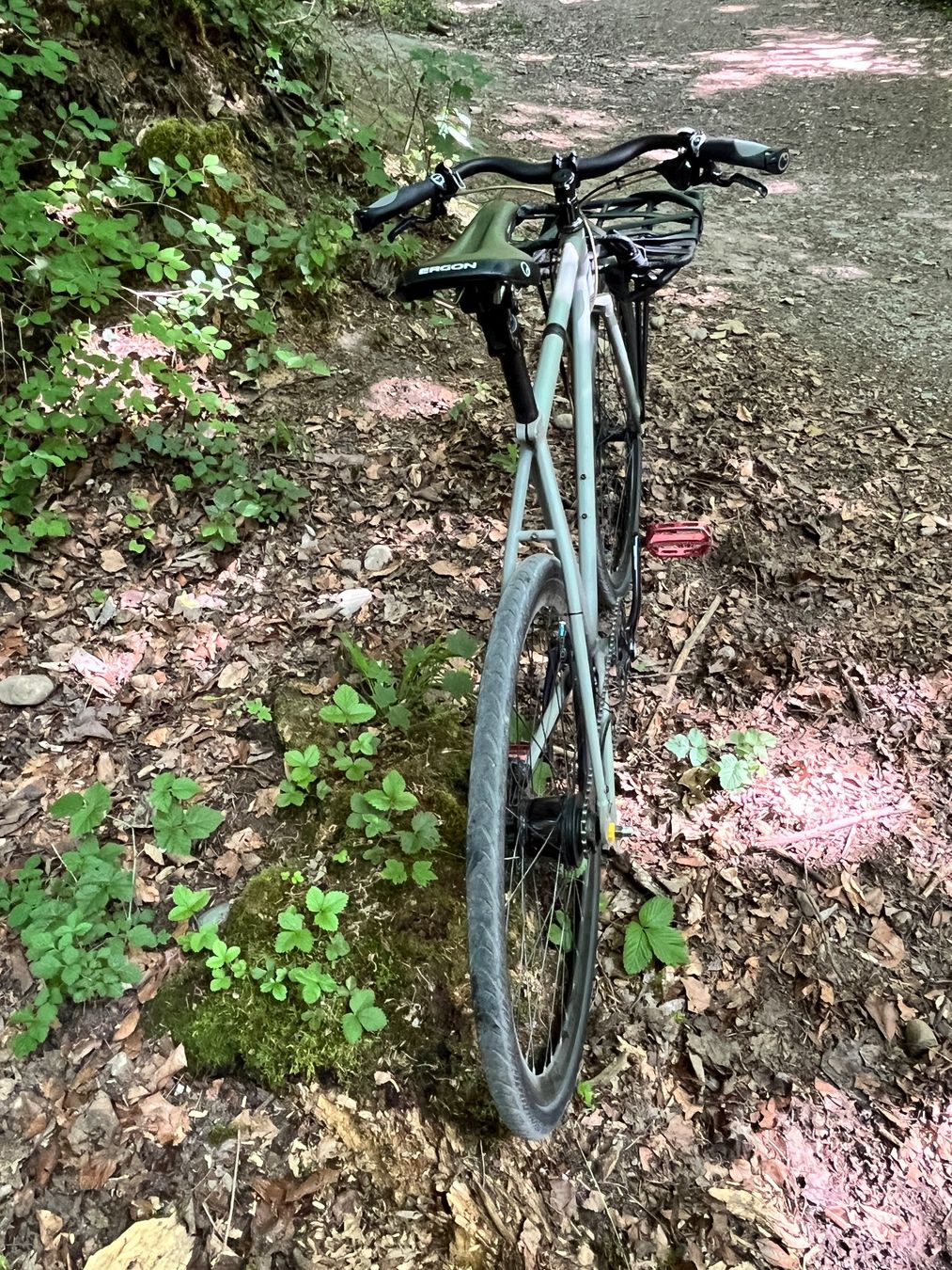 Biciclette: All City Nature Boy – Usato da Thun venduto da spring23 3