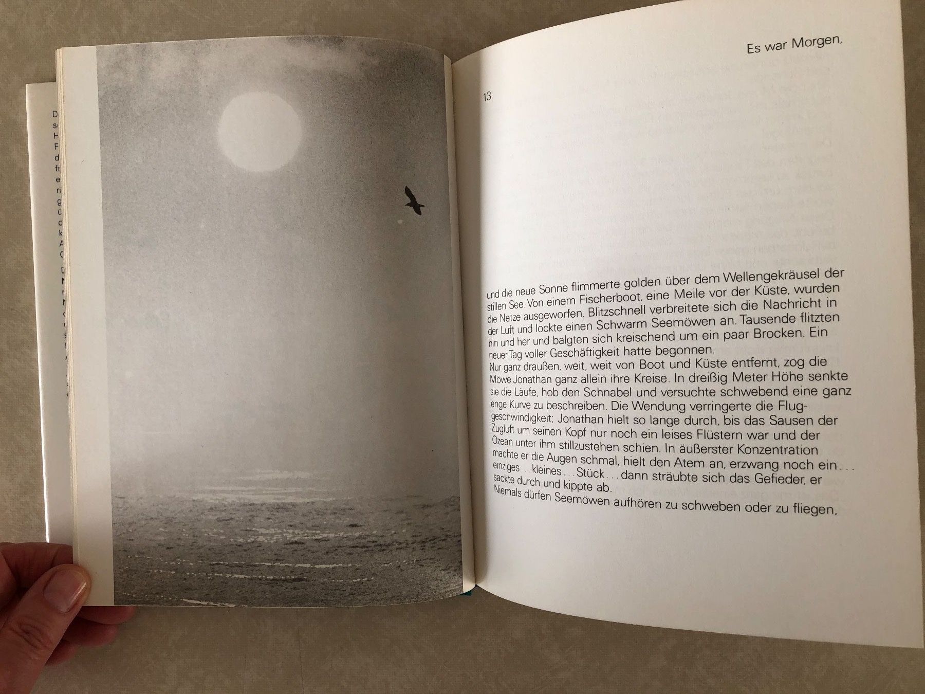 Libri: Die Möwe Jonathan, Bach/Munson, Ullstein – Usato da Balzers venduto da Bastlerherz 4