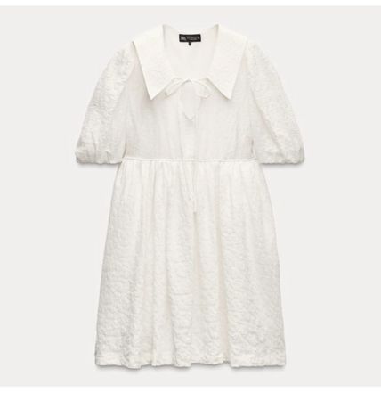 Zara dress