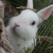 Profile image of Nati...Strubi