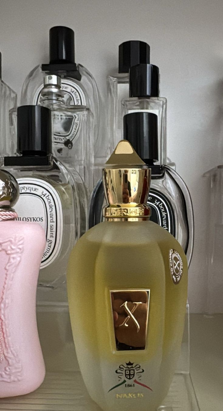 Xerjoff Profumi & Eau de Toilette: Xerjoff Naxos - 2ml - Sample/Tester – Usato da Bellinzona venduto da francescouv