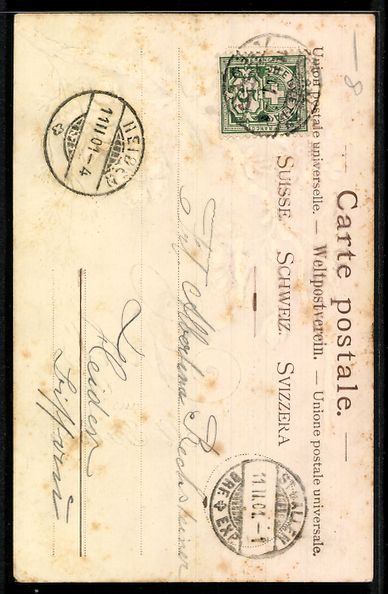 Cartoline postali: Lithographie St. Gallen, Blumen an einem ast – Usato da Berlin venduto da bartko-reher 1
