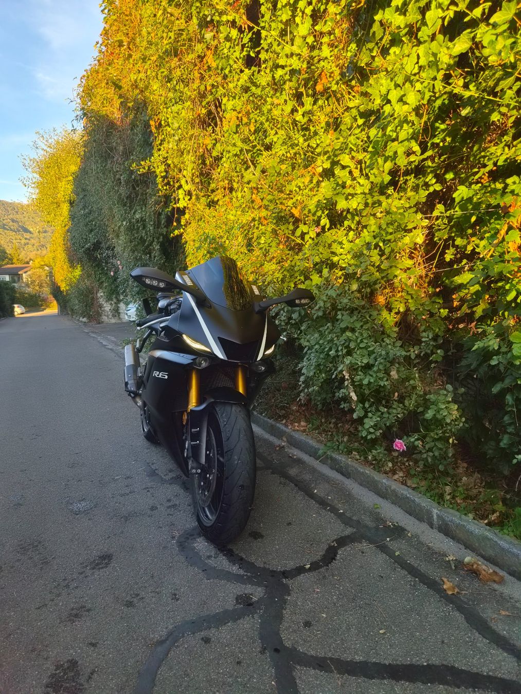 Yamaha Strada: Yamaha YZF R6 35kw – Usato da Fislisbach venduto da LEMO_Motos 5