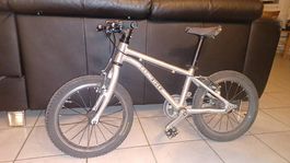Early Rider Belter Trail (16") avec courroie (4-6 ans)