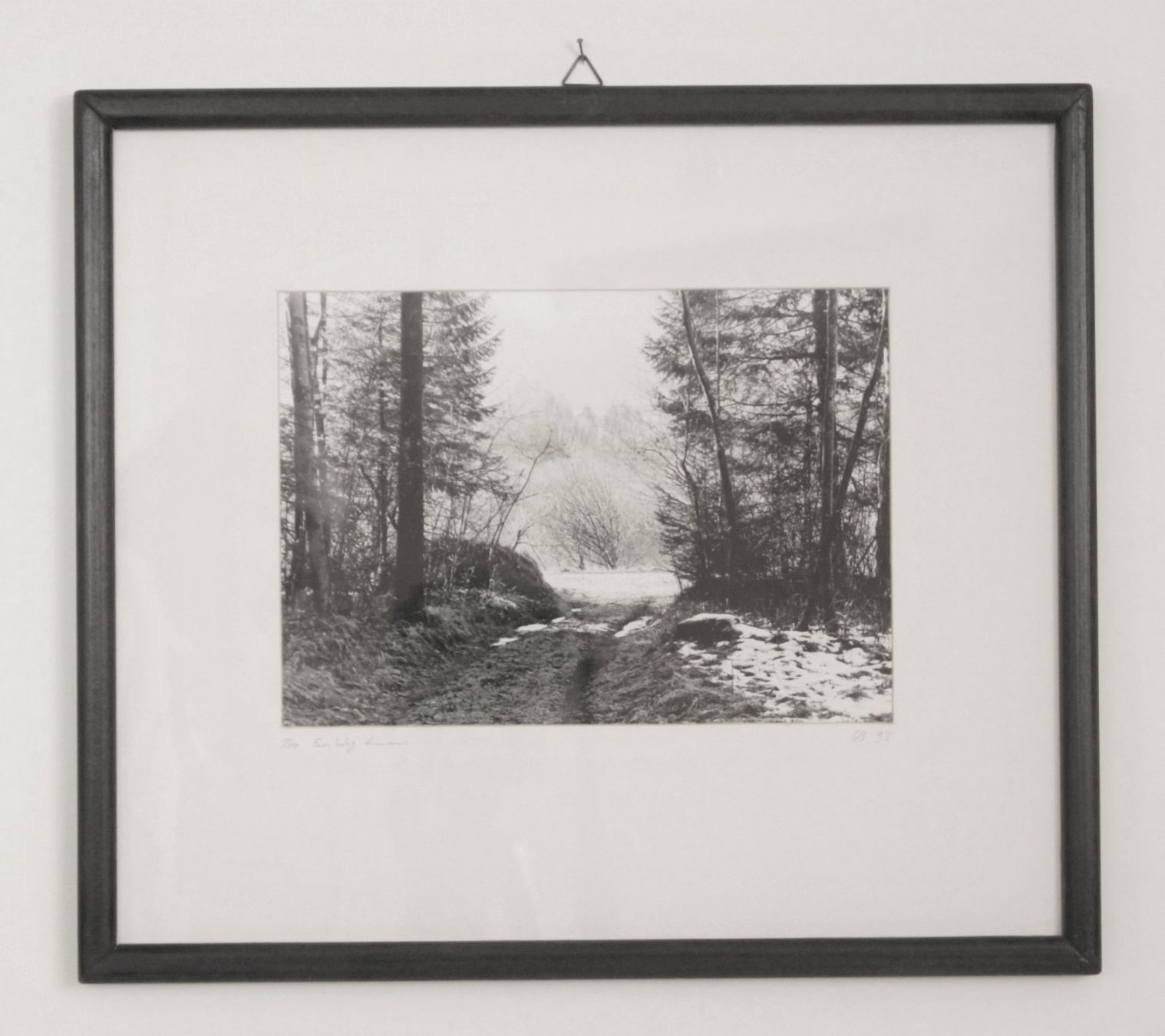 Foto & Immagini: Fotografie: Ein Weg hinaus – Usato da Fribourg venduto da erw_68dx
