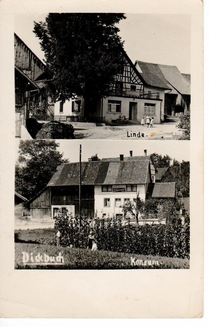Cartoline postali: Dickbuch 1946 Linde und Konsum – Usato da Wolhusen venduto da Curver9