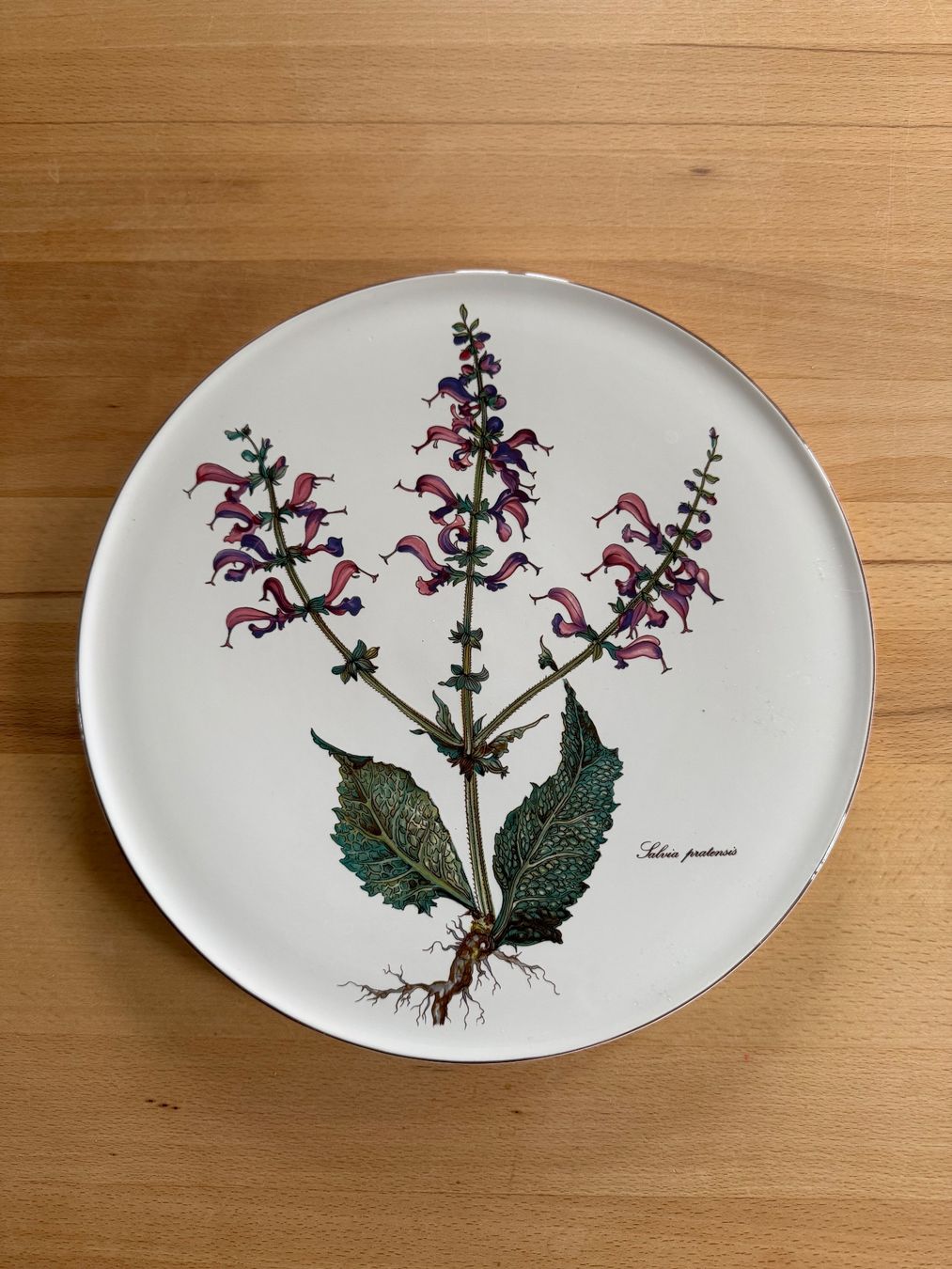 Villeroy & Boch Teller: Villeroy und Boch Botanica – Gebraucht aus Niederwangen BE von ele_z5gj