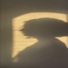 Profile image of anncrua