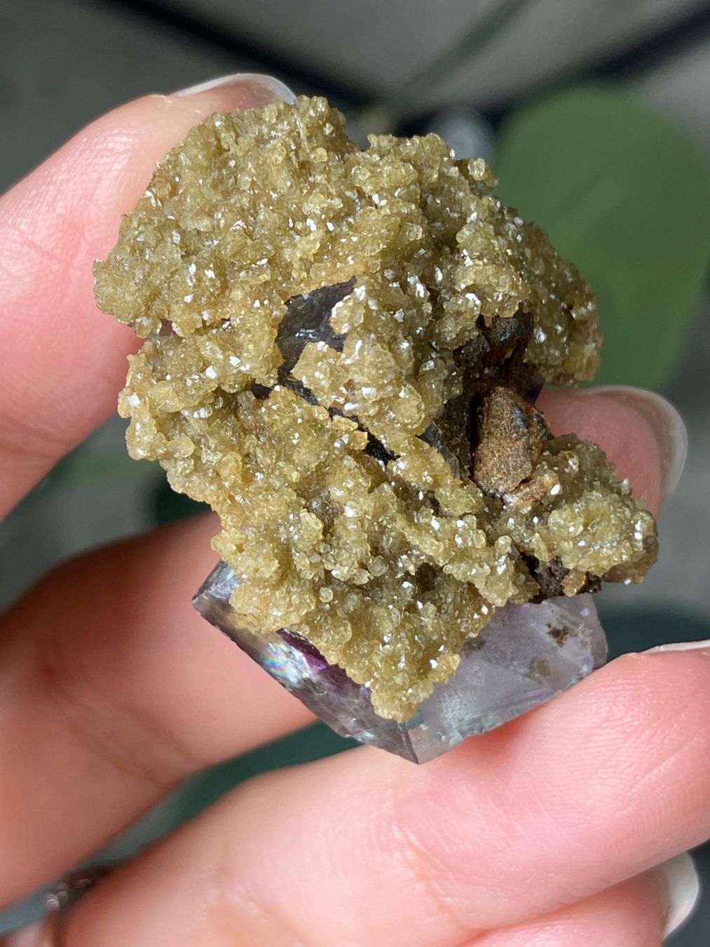 Edelsteine: Inner Mongolia Fluorit – Neu (gemäss Beschreibung) aus Neuheim von m.hald 4