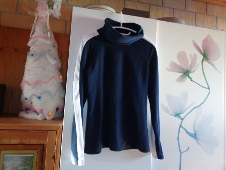 *** Fleece Pullover / Rollkragen