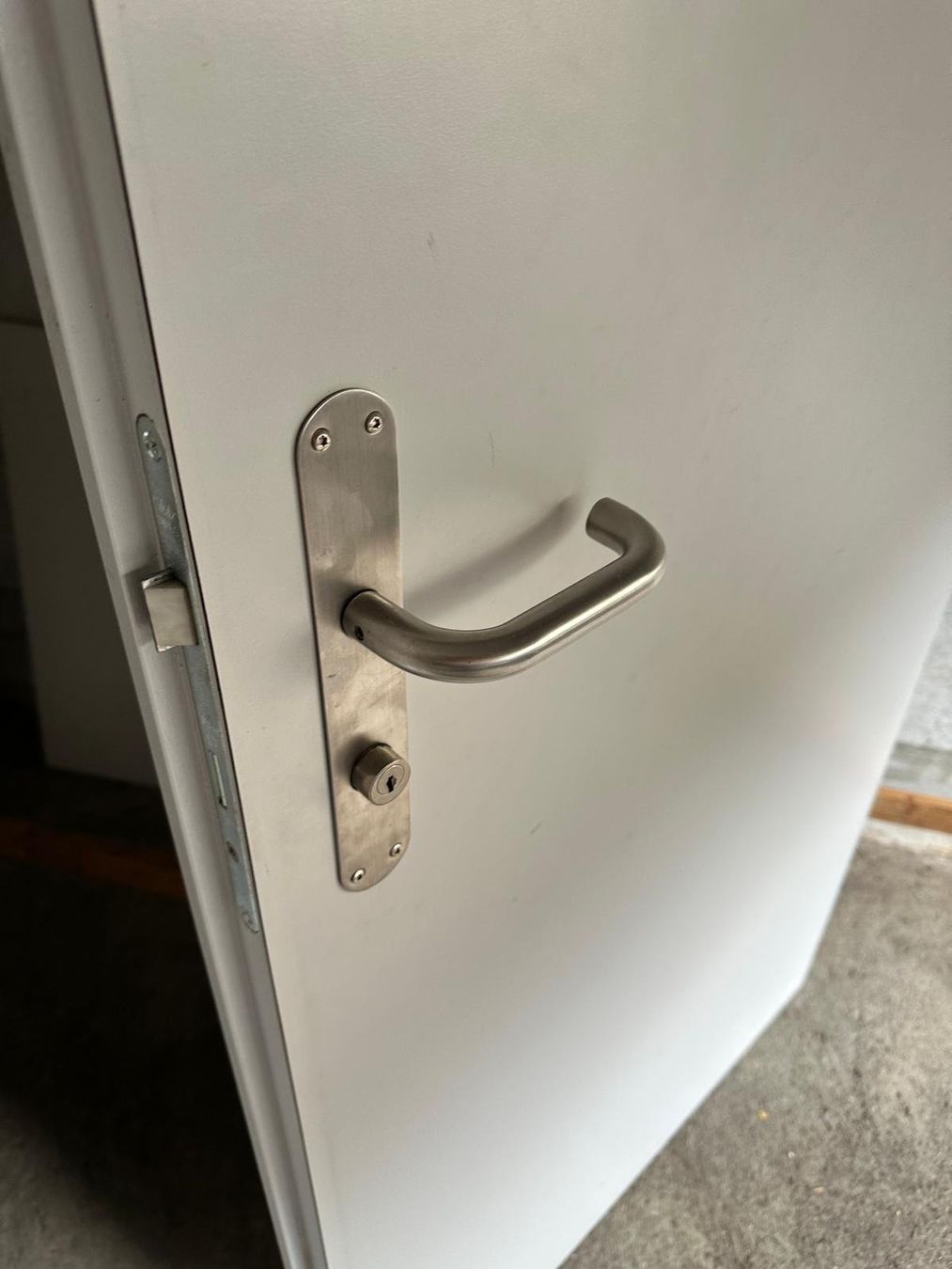 Portes: Kellertüre mit Rahmen – D'occasion à Spreitenbach par Space_X 3