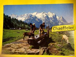 1978 41945 Wetterhorngruppe