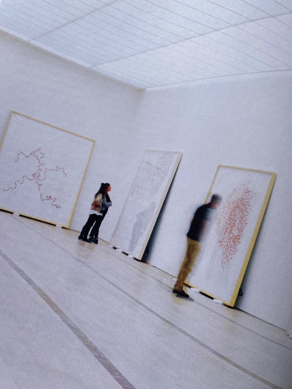 Libri: Roni HORN - A ROSE ROSE - Islands – Usato da Zürich venduto da lesgarcons 2