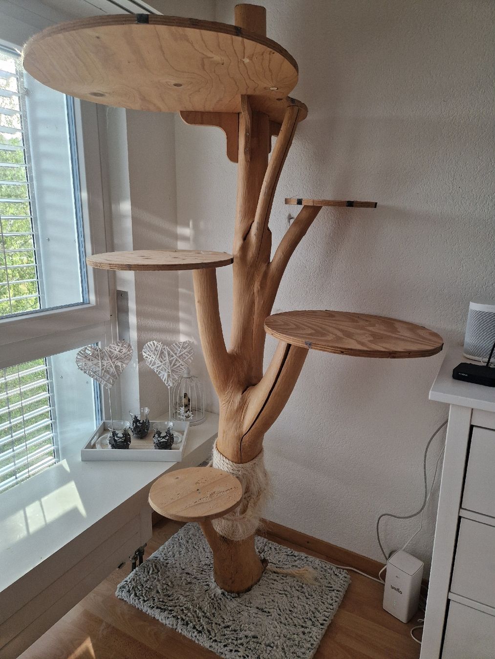 Katzenbaum - Kratzbaum: Naturstamm Kratzbaum – Gebraucht aus Ormalingen von CartierRoyal