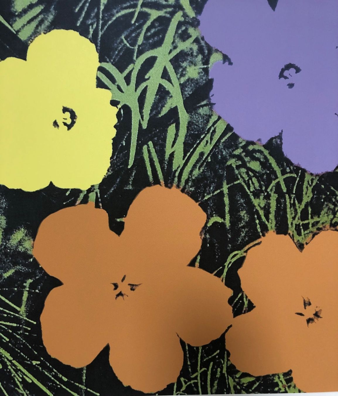 Foto & Immagini: Andy Warhol: Flowers 83/100 – Nuovo (secondo la descrizione) da Meilen venduto da Smgdesign 5