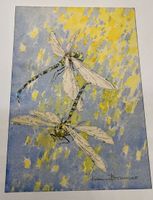 Aquarell Libellen von Klaus Brunner    (ID 7064)