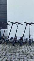 Lot de 5 trottinettes électriques Xiaomi / Ocean Drive