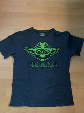 Star Wars T-Shirt Master Yoda grau
