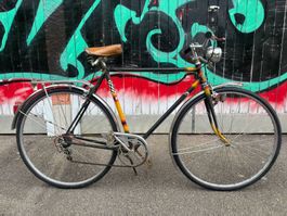Tigra Herrenvelo