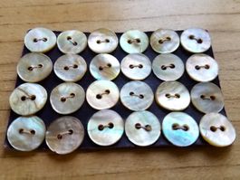 24 opalisierend Perlmutt Knöpfe Perlmuttknopf Perlmuttknöpfe