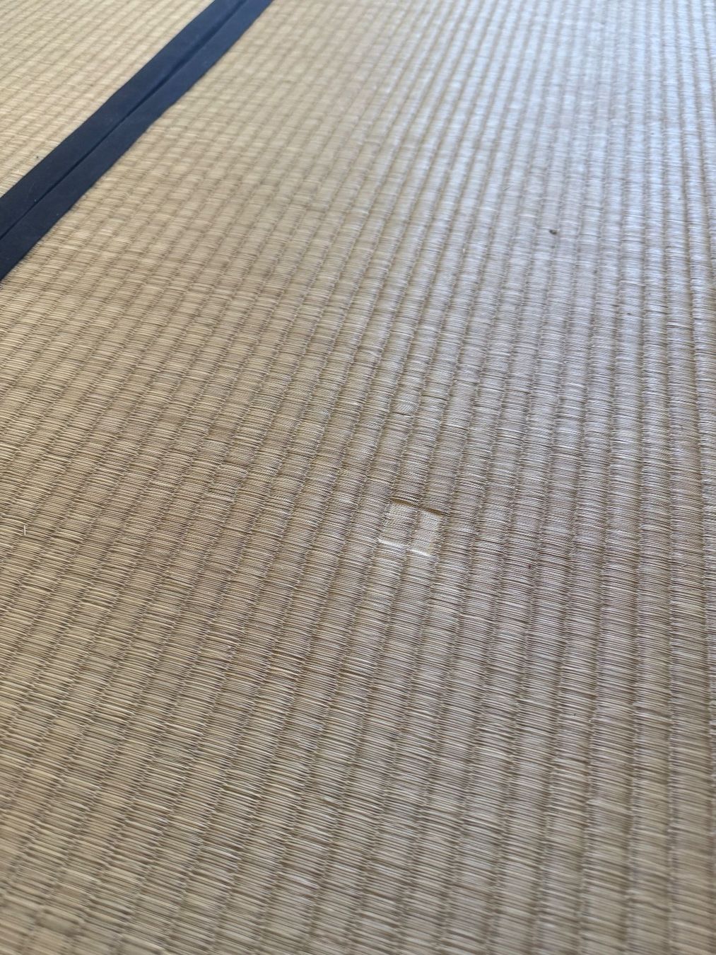 Tappetini fitness: Tatami - Japanische Reisstrohmatten – Usato da Bern venduto da miro-co. 4