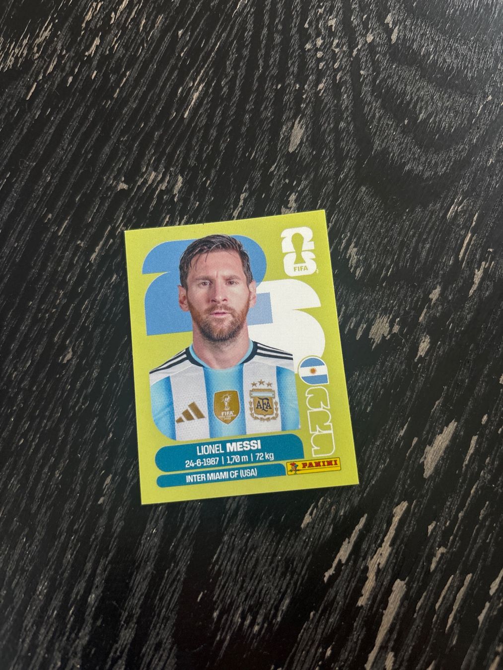 Panini Cartes à collectionner: Messi ARG 17 – D'occasion à Landquart par nimali