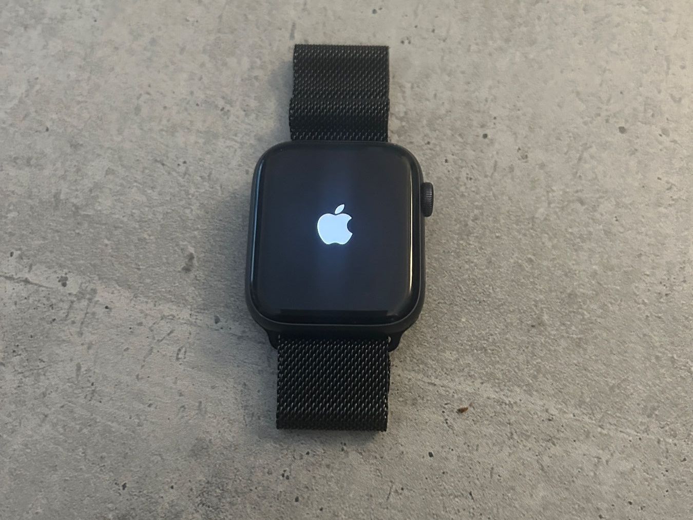 Apple Smartwatch: Apple Watch SE - 44mm - Space Gray – Usato da Ulmiz venduto da Comes78