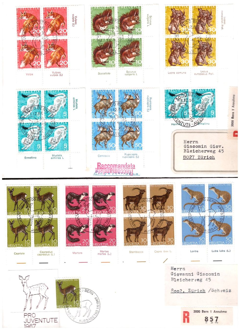 Alle Briefmarken: GROSSBRIEFE – Gebraucht aus Dübendorf von Piero2 6