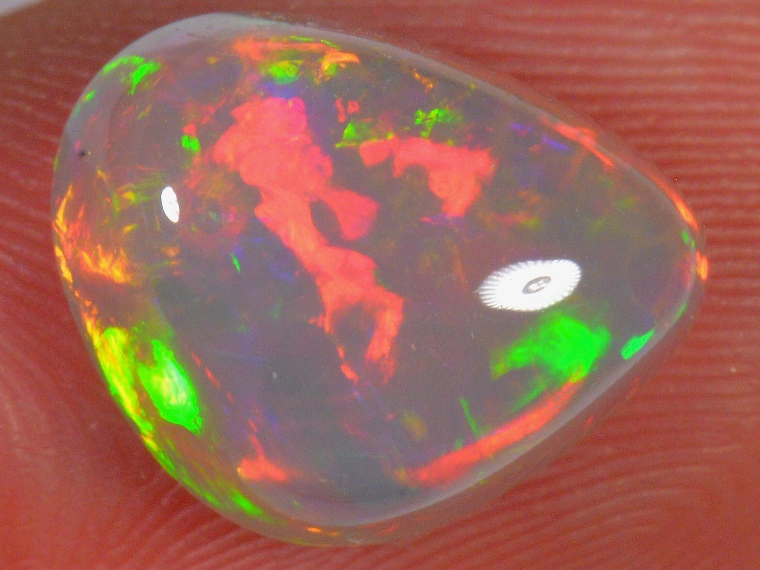 Edelsteine: 4.5 Karat - Brillianter Äthiopischer Welo Opal – Neu (gemäss Beschreibung) aus Rüti ZH von DeinOpal 1