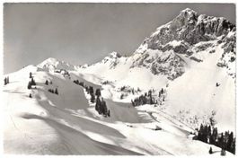 Rougemont - Skipisten mit Rübli